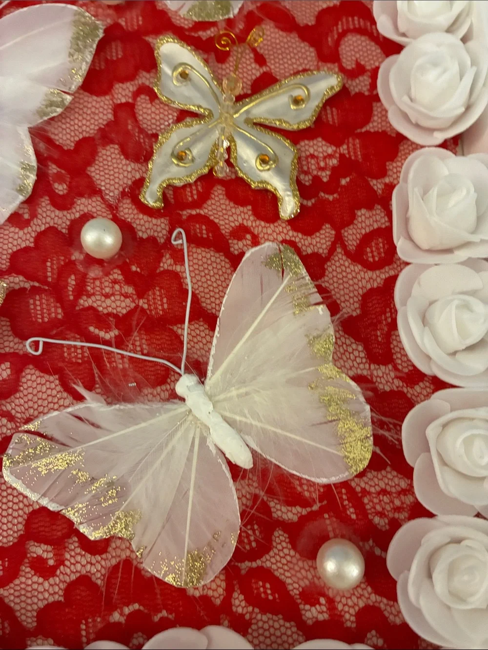 Hand Crafted White Butterfly Shadow Box Frame with Red Lace Backing